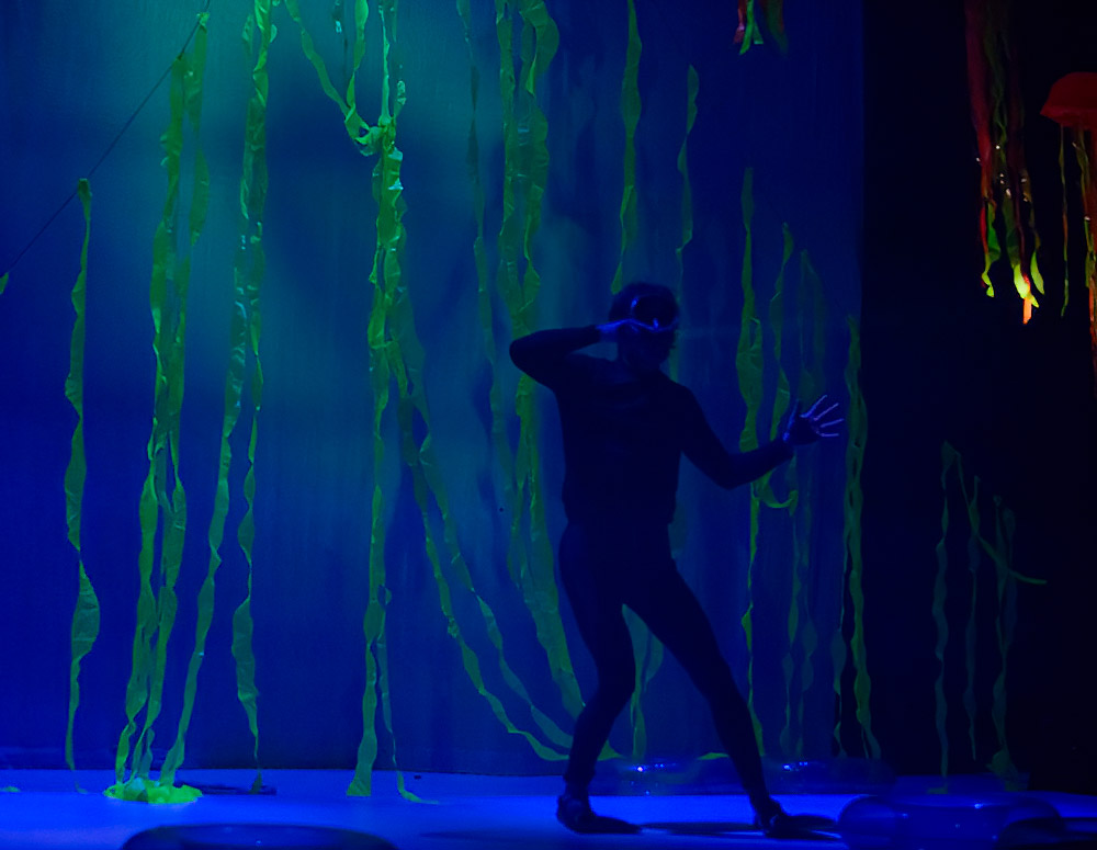 Prochaine dates du spectacle Raplapla de Cirque en Scène