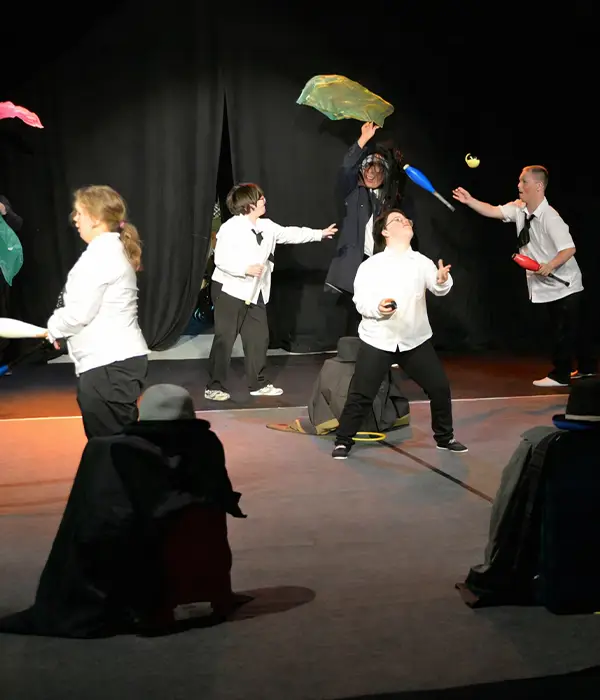 Institutions spécialisées et cirque