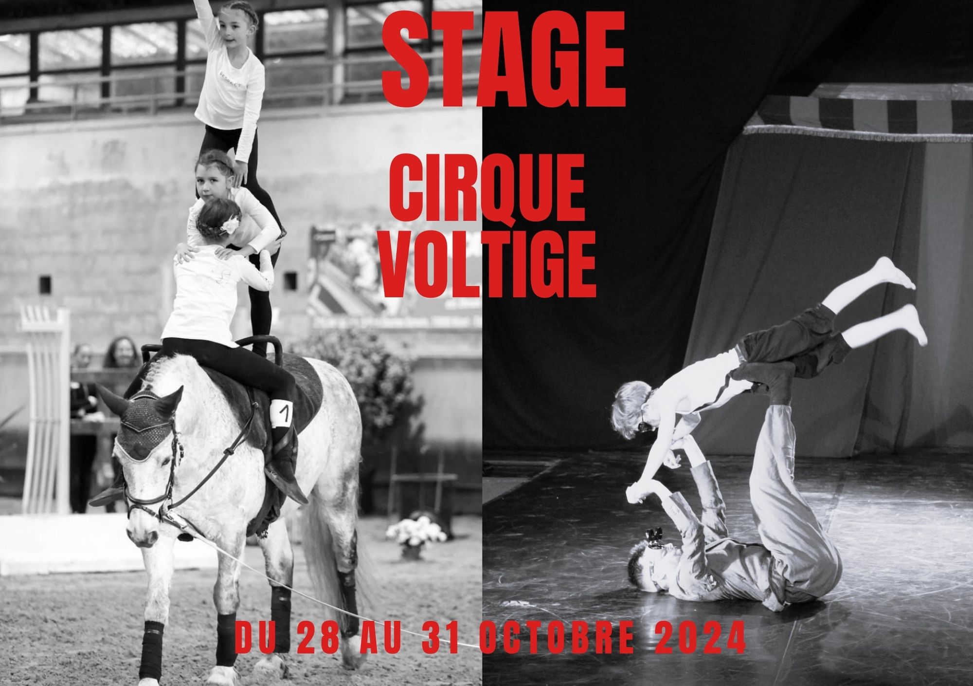 cirque voltige